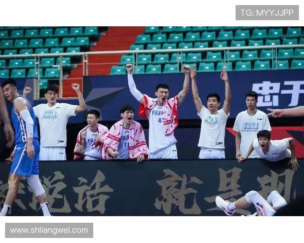 北京排球队比赛经验的创新与变革引发热议