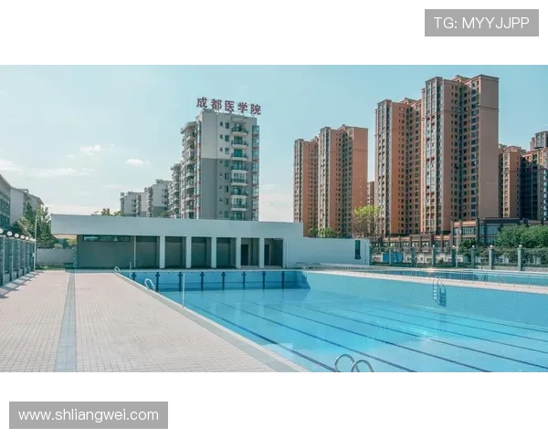 成都篮球队的奋斗历程与荣耀时刻全景纪实