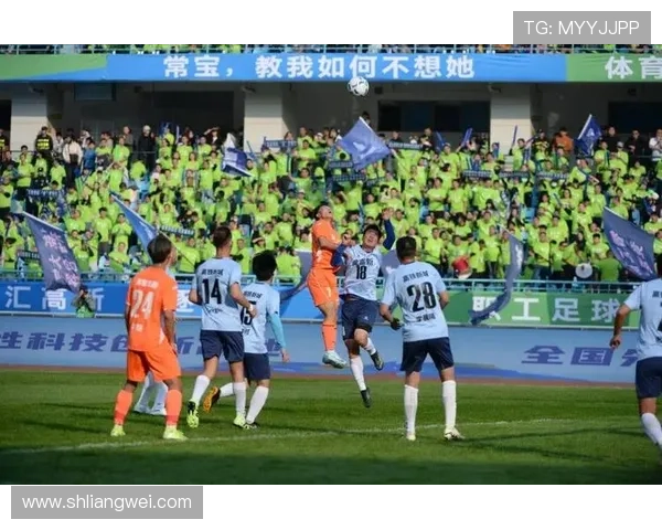 绿意盎然的足球明星们在赛场上如何展现环保理念与激情拼搏精神