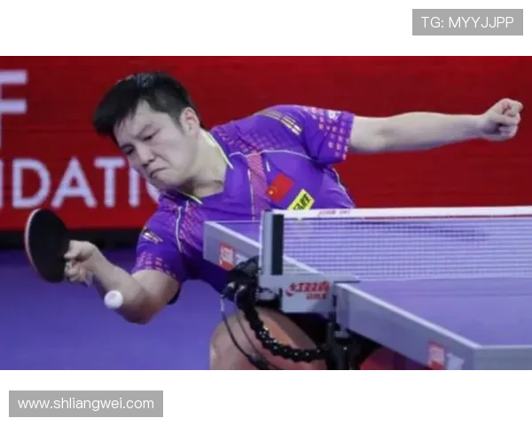 黄秀英的乒乓球人生深度对话与成长历程的启示与反思